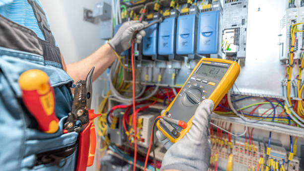 Best Electric Panel Repair  in Clarkton, MO